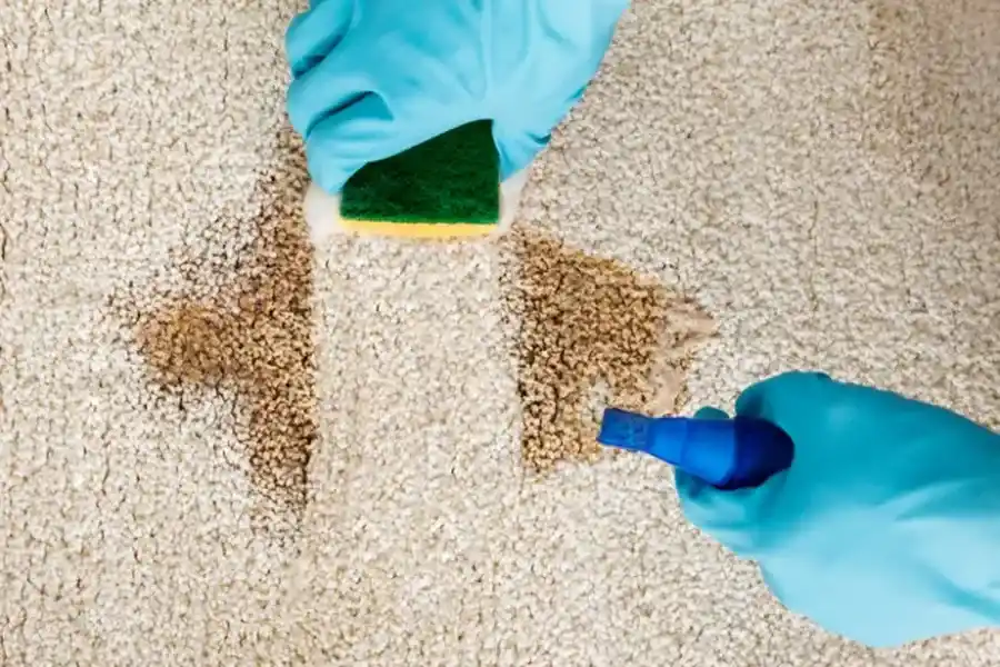 How Janitorial Services Ensure Deep Carpet Cleaning Results Mount Vernon, NY