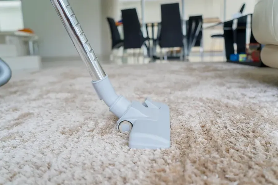 How Regular Carpet Cleaning Enhances Office Hygiene in Mount Vernon, NY How Regular Carpet Cleaning Enhances Office Hygiene in Mount Vernon, NY